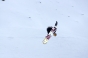 , Winter X-Games Mens Board Slopestyle 2011 - Courchevel Enquirer